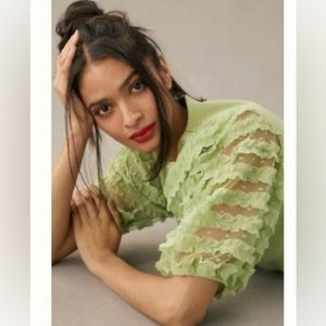 NWT Dolan Ruffle-Sleeve Top from Anthropologie